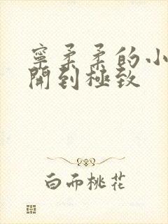 宁柔柔的小泬撑开到极致