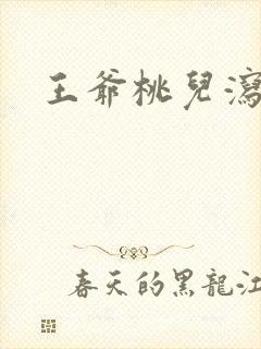 王爷桃儿泻了