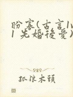 盼寡(古言1v1 先婚后爱)荔枝好多