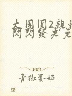 大团圆2亲情会闪闪发光免费