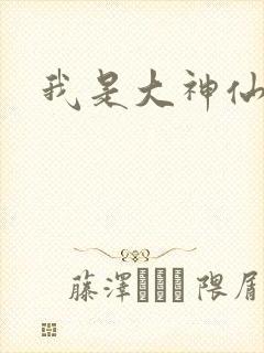 我是大神仙小说