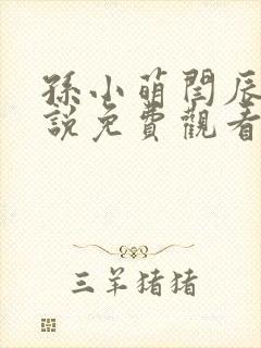 孙小萌闫辰的小说免费观看