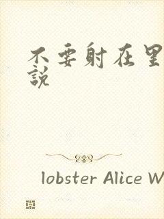 不要射在里面小说