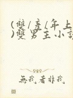 (双/产/年上)双男主小说