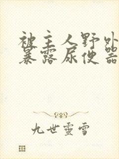 被主人野外调教暴露尿便器