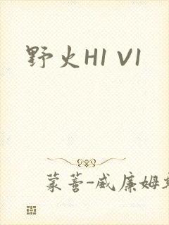 野火H1 V1