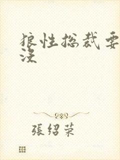 狼性总裁要够了没