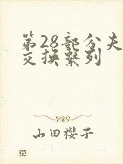 第28部分夫妇交换系列