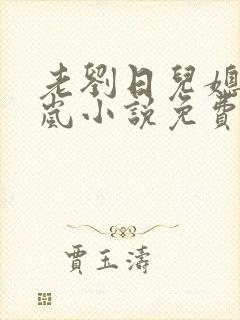 老刘日儿媳妇张岚小说免费阅读