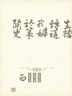 关于我转生变成史莱姆这档事小说