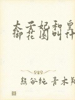 太子妃和皇帝在御花园叫什么小说