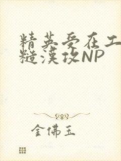 精英受在工地被糙汉攻NP