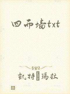 四面墙txt