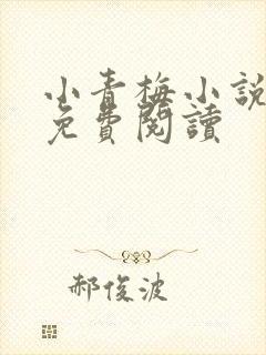 小青梅小说全文免费阅读