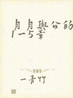 月月与公的激情1一5章