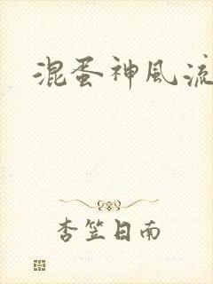 混蛋神风流