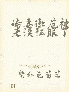 娇妻彻底被门卫老汉征服了