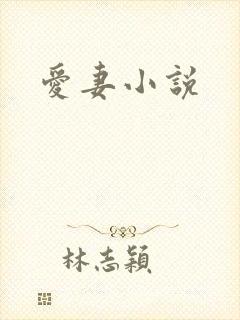 爱妻小说