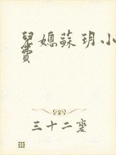 儿媳苏玥小说免费