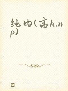 纯肉(高h.np)
