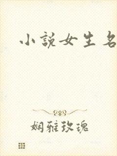 小说女生名字