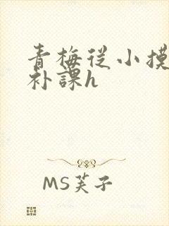 青梅从小摸到大补课h
