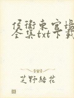 侯卫东官场笔记全集txt下载