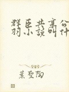 群臣共享公主银羽小说叫什么