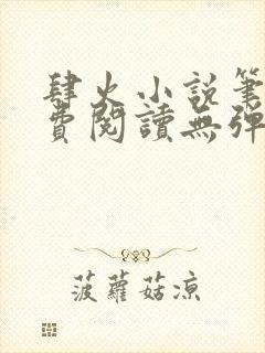 肆火小说笔趣免费阅读无弹窗