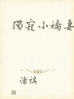 独宠小娇妻