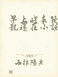 早上醒来发现巨龙还在小说