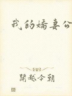 我的娇妻公务员