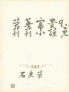 荣华富贵9小王莉莉小说免费阅读