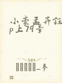 小豪孟卉钰慧三p上79章