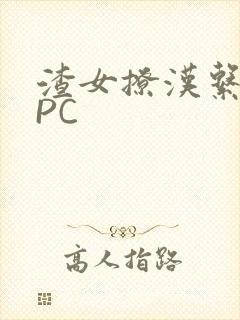 渣女撩汉系统NPC