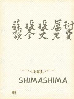 苏暖暖厉衍琛小说全文免费阅读