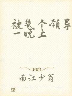 被几个领导玩弄一晚上