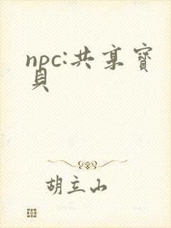 npc:共享宝贝