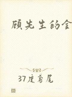 顾先生的金丝雀