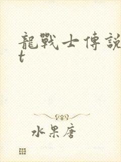 龙战士传说txt