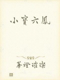小宝六凤