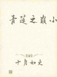 青莲之巅小说