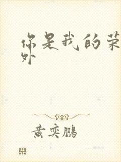 你是我的荣耀番外