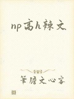 np高h辣文