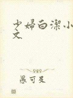 少妇白洁小说全文