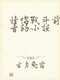 情侣战斗前适合看的小说