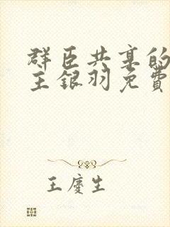 群臣共享的小公主银羽免费阅读