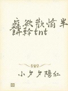 瘾欲欢愉半块小饼干tnt