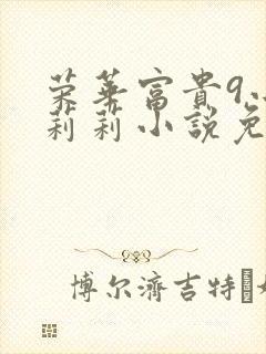 荣华富贵9小王莉莉小说免费阅读