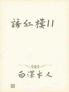 诱红楼11